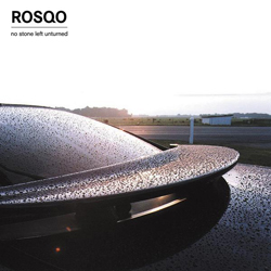 Rosqo - No Stone Left Unturned